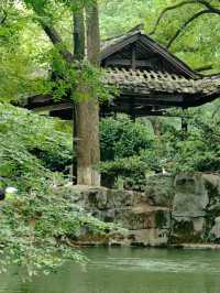 天然氧吧—武陵山國家森林公園—一秒穿越原始叢林的秘境
