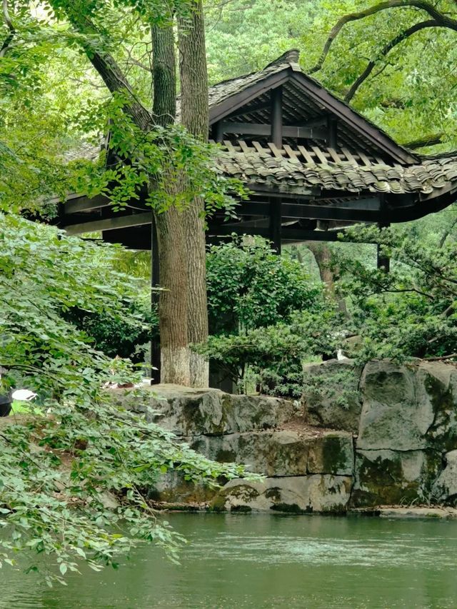 天然氧吧—武陵山國家森林公園—一秒穿越原始叢林的秘境