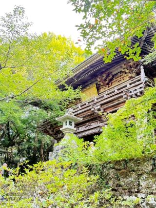 Exploring Chikurin-ji Temple and Treasure Museum on Mount Godai, Shikoku