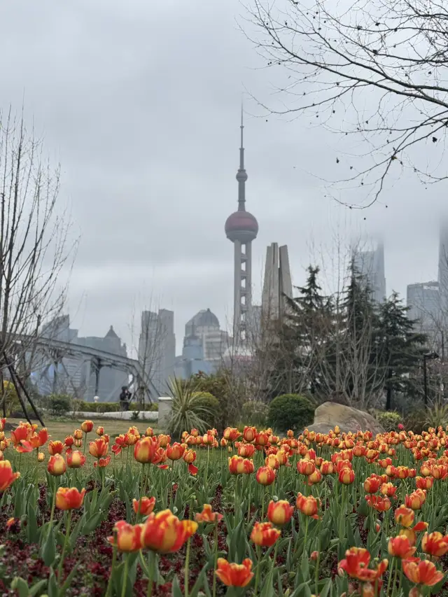 上海4天3夜旅遊計劃大公開