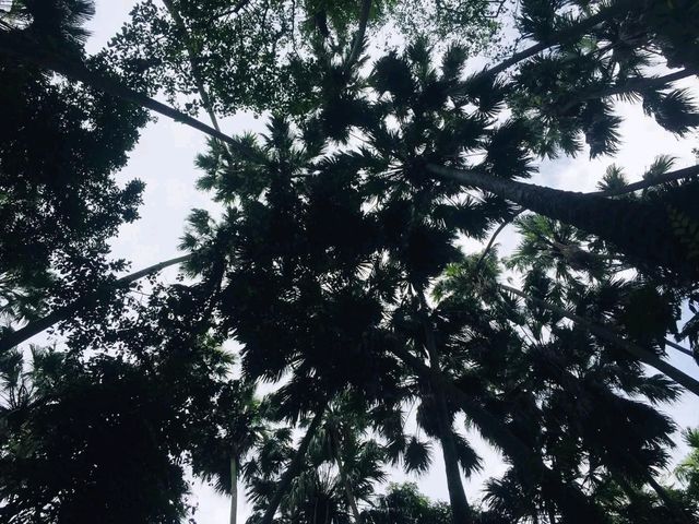 📍คำชะโนด จ.อุดรธานี