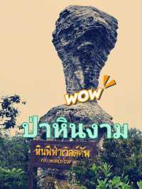 ป่าหินงาม แดนหินสวยรูปทรงอัศจรรย์