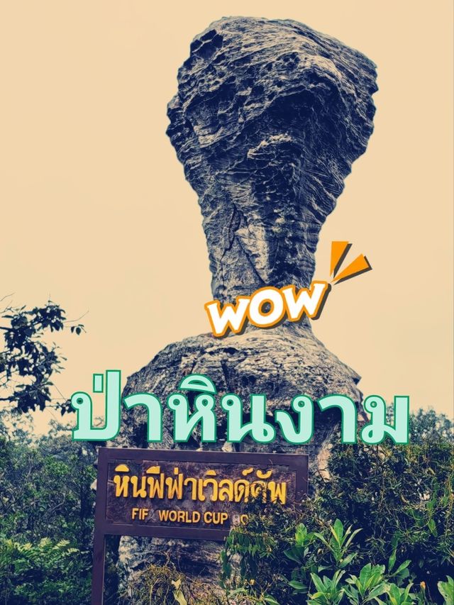 ป่าหินงาม แดนหินสวยรูปทรงอัศจรรย์