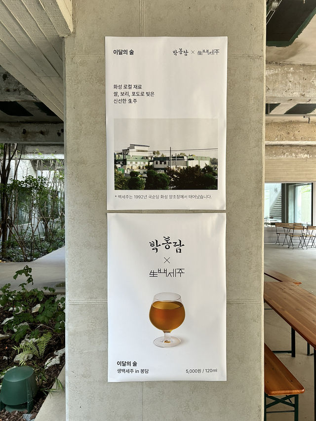 막걸리가 이렇게 세련될 줄이야 🍶 박봉담 카페 탐방기