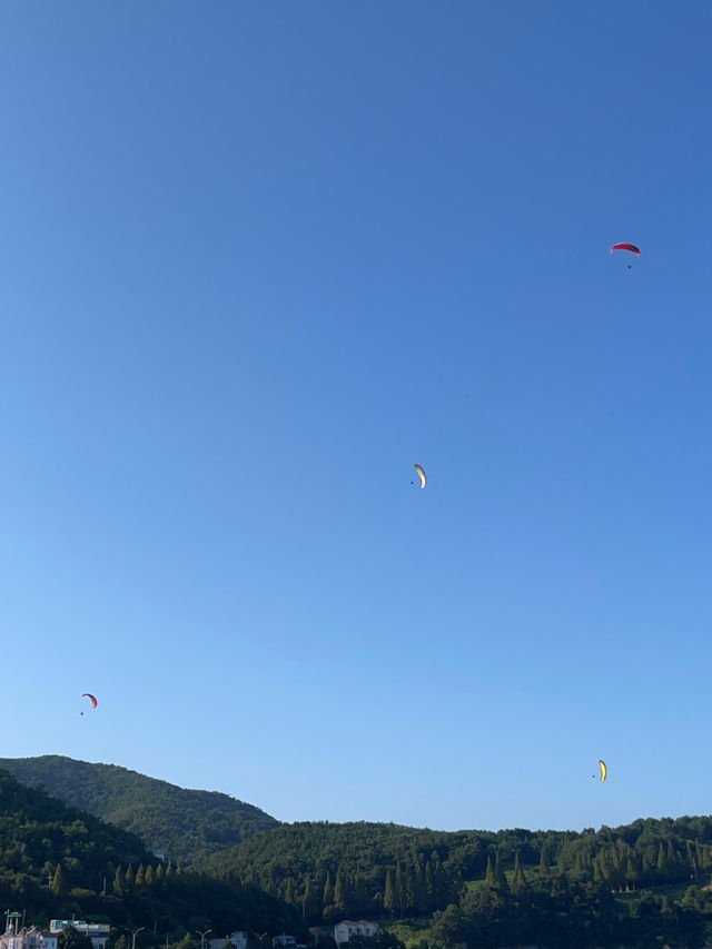📍여수 만성리 검은모래해변&아쿠아플라넷🐠🐬✨