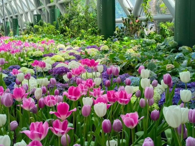 สวนดอกไม้เมืองหนาว นิทรรศน์พรรณพฤกษา จ.ระยอง