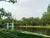 Gongqing Forest Park: Shanghai's Wild Heart