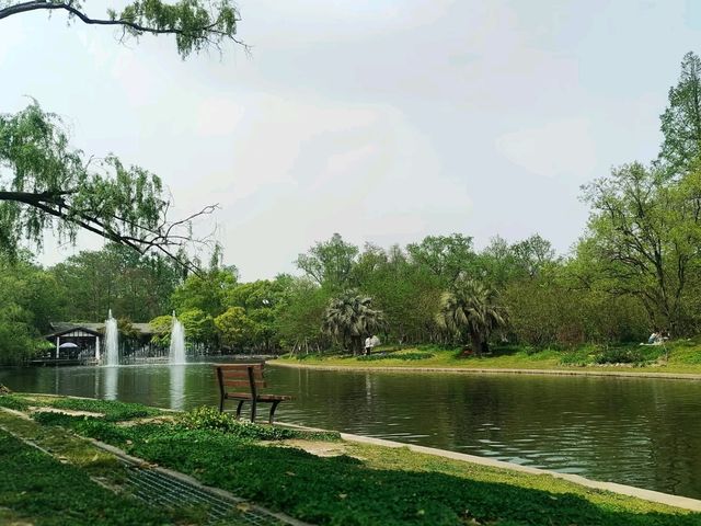 Gongqing Forest Park: Shanghai's Wild Heart Gongqing Forest Park: Shanghai's Wild Heart