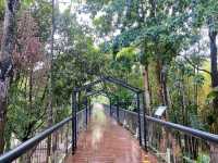 Dipterocarp Walk at The Canopy, Taman Botani Putrajaya – A Nature Escape Above the Trees