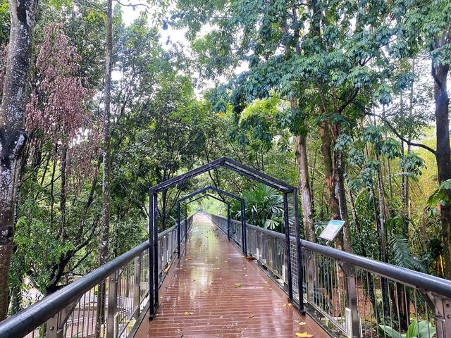 Dipterocarp Walk at The Canopy, Taman Botani Putrajaya – A Nature Escape Above the Trees