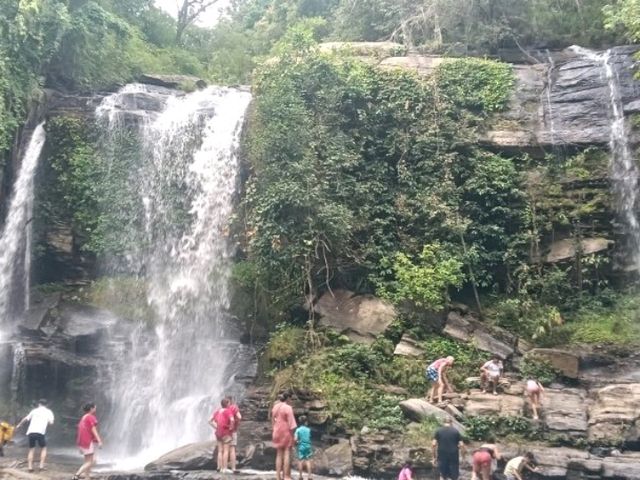 Kerchor elephant eco park