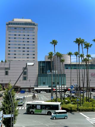 Tokushima City 2-Day, 1-Night Trip