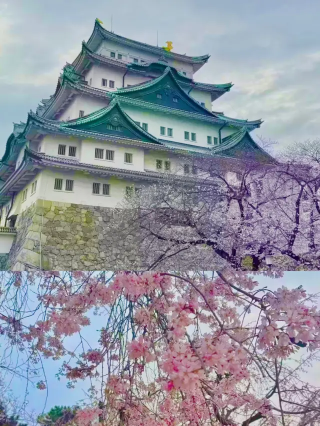 名古屋旅遊小貼士及必去景點