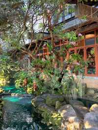 Most beautiful cafe in ChiangMai 🩵✨