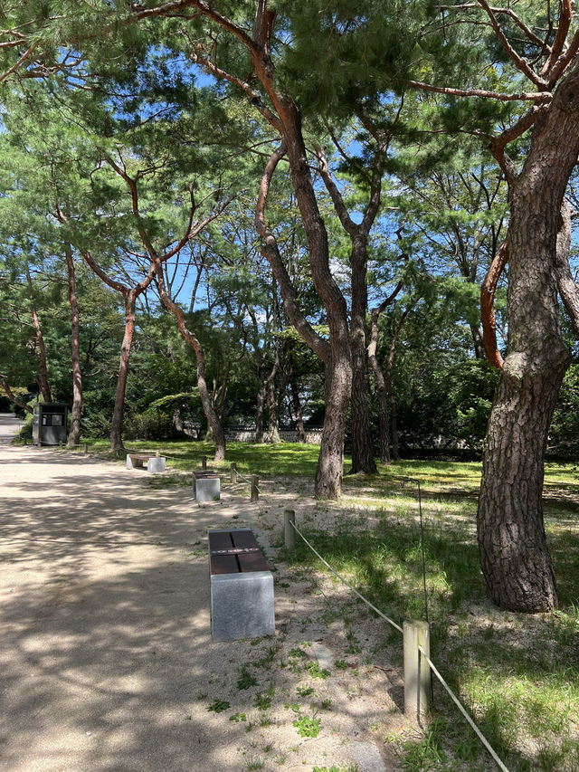 창덕궁 후원의 풍경🌳