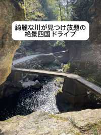 四国ドライブ旅🚗✨寄り道ですら絶景すぎた