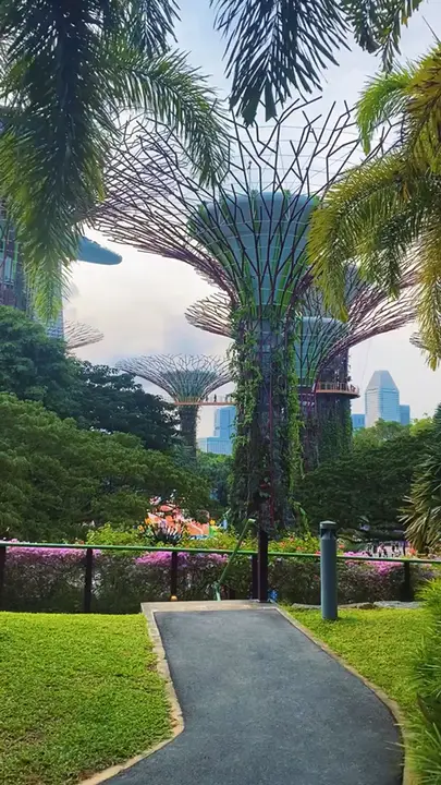 Gardens by the Bay