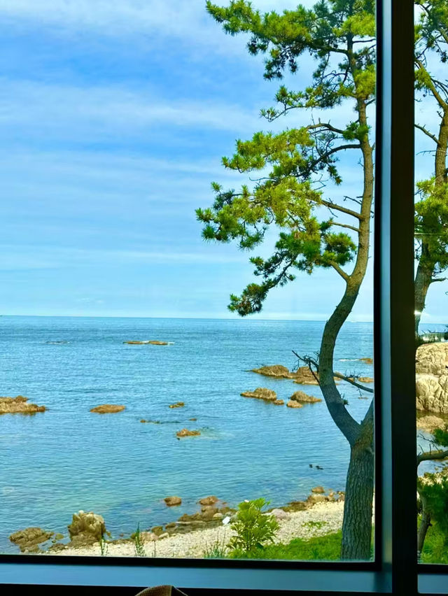 🌊기장 카페 투어 2탄 : 바다 향 가득한 힐링 타임☕