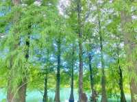 雲山水 夢幻湖真如其名的美 