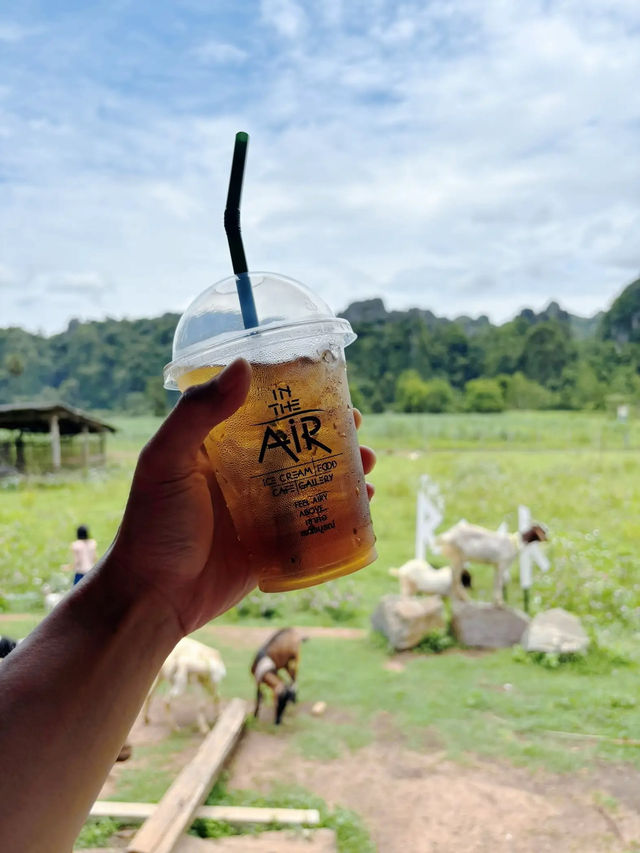 The Rock Cafe So Goood ไปเลี้ยงแพะกันไหม