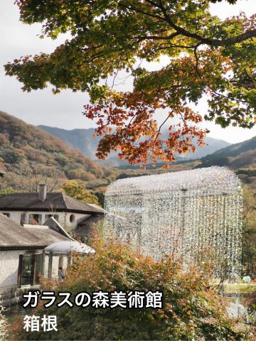箱根】美しいガラスの世界を🫧ガラスの森美術館 | Trip.com 箱根