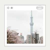🗼 Tokyo Skytree – หอคอยที่สูงที่สุดในญี่ปุ่น