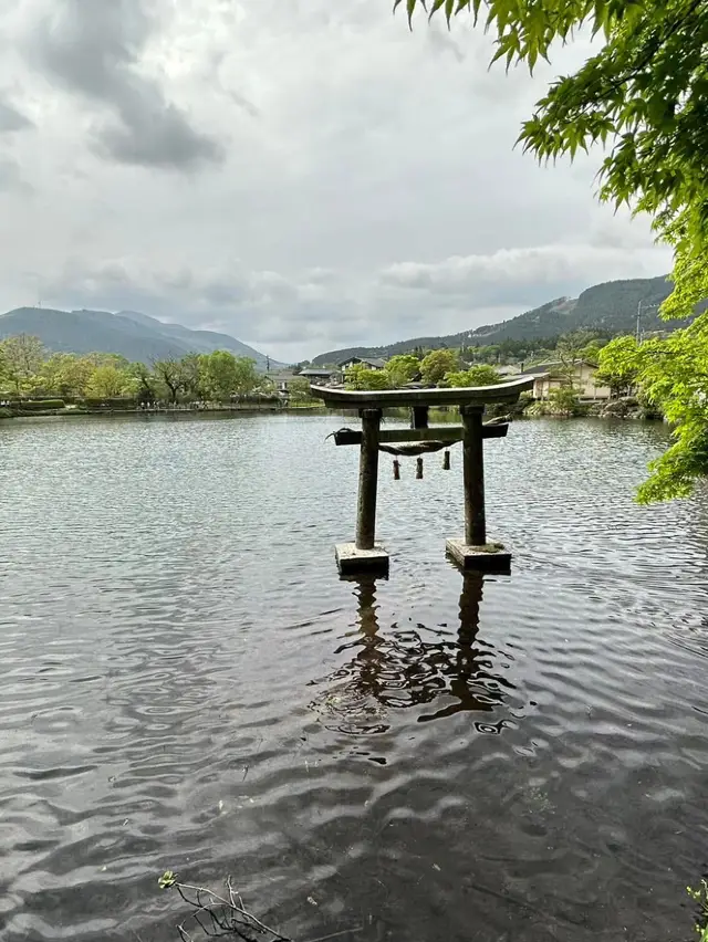 由布院的清雅 & 金鱗湖的浪漫