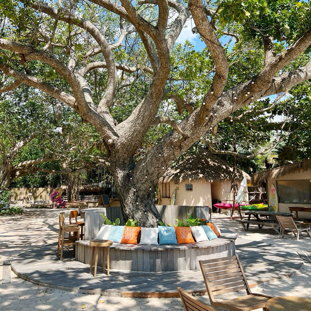 SHE SAILS CAFE & BEACH CLUB