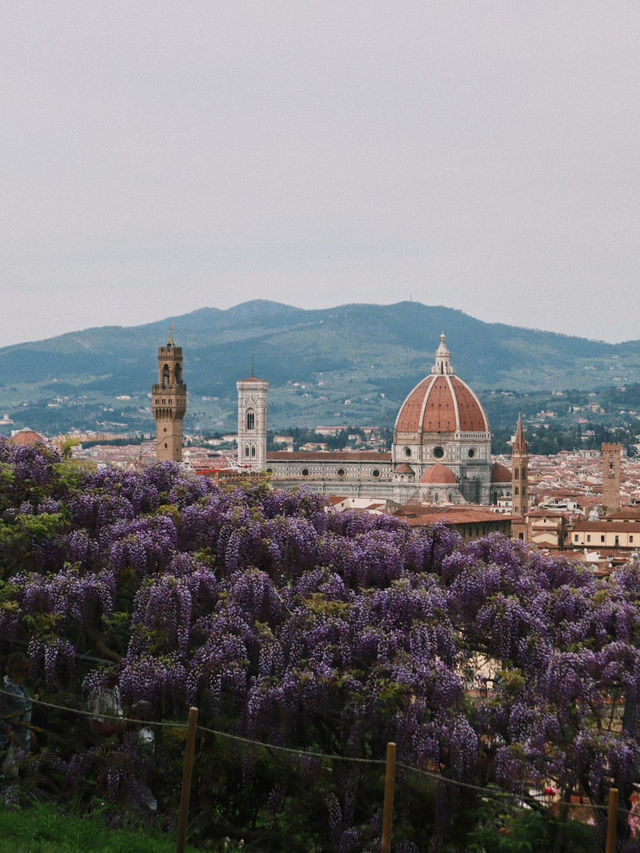 5월에 피렌체를 간다면 필수 코스임 5월에 피렌체를 간다면 필수 코스임