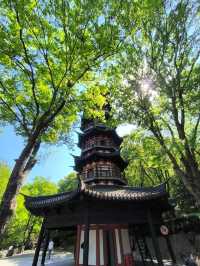 上海景點 徐家匯新大樓 七寶古鎮