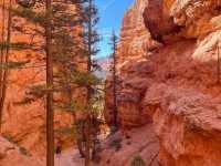 Bryce Canyon National Park