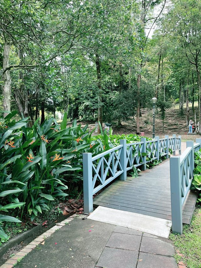 Perdana Botanical Lake: Serene Insta-Worthy Escape with Blossoming Lotus Flowers