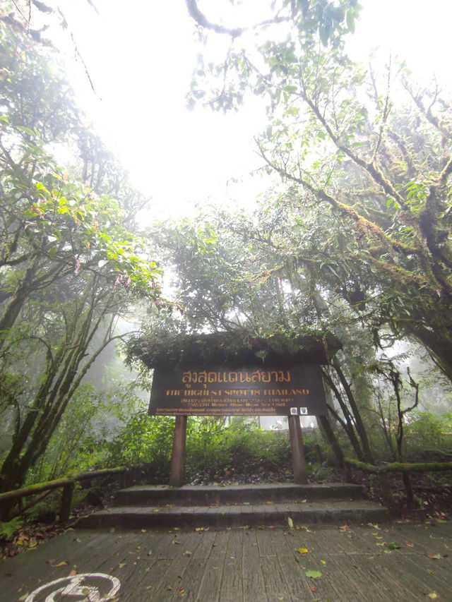 ⛰️ ดอยอินทนนท์: สุดยอดแห่งสยาม ณ เชียงใหม่ 🇹🇭 ⛰️ ดอยอินทนนท์: สุดยอดแห่งสยาม ณ เชียงใหม่ 🇹🇭