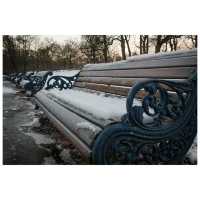 Winter Wonders at Sefton Park, Liverpool
