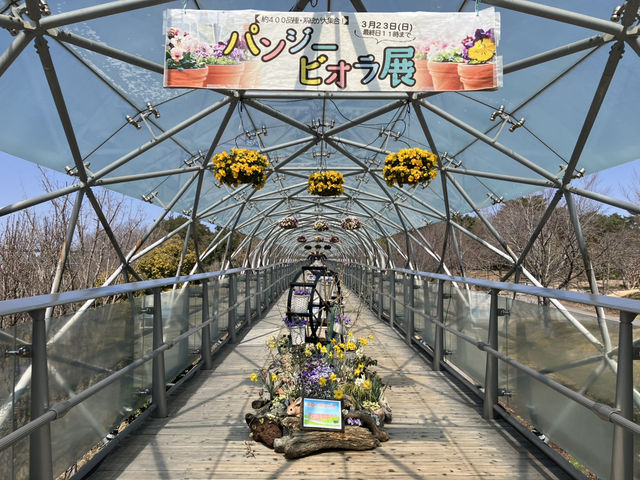 鳥取花廻廊