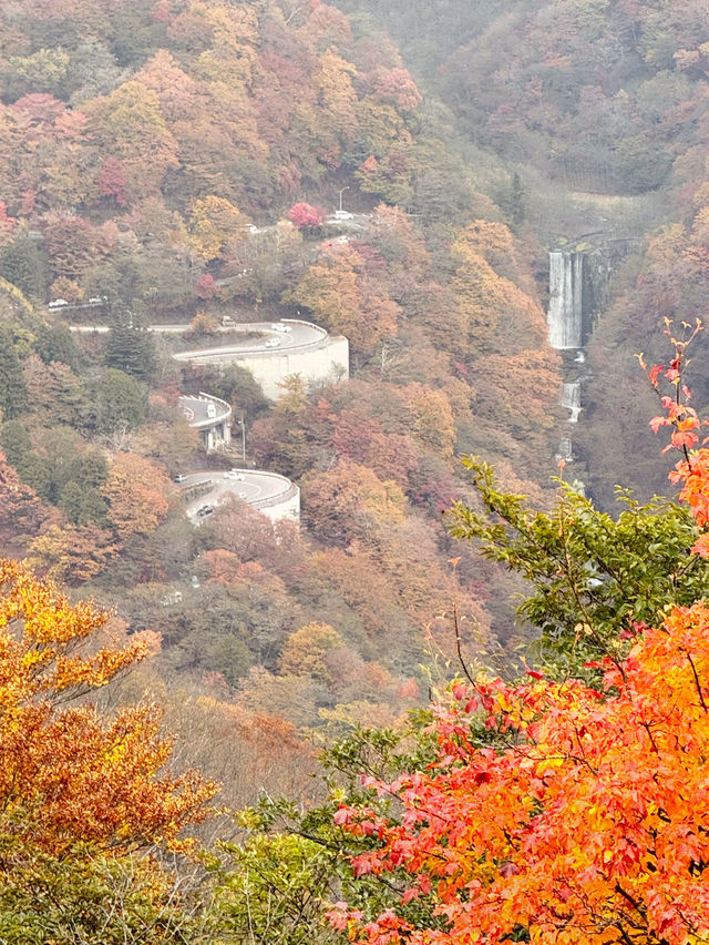 Nikko Autumn Magic 🍁 Nikko Autumn Magic 🍁