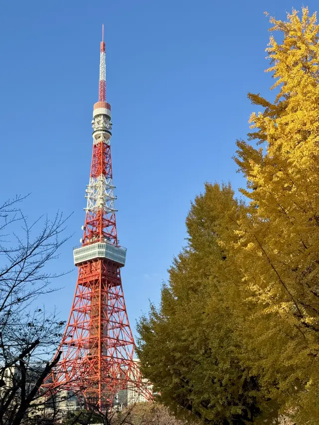 Tokyo Tower Photography Spots Guide