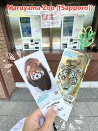 ✨Maruyama Zoo สวนสัตว์ที่เดินทางง่ายใน Sapporo✨