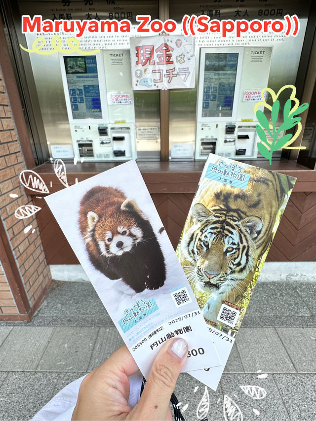 ✨Maruyama Zoo สวนสัตว์ที่เดินทางง่ายใน Sapporo✨