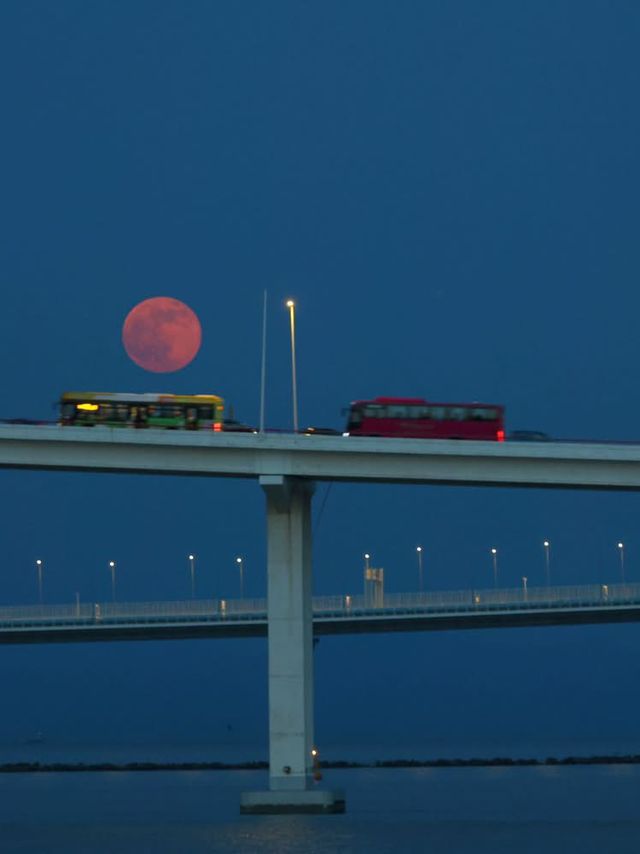 A Pearl in a Neon Sea: Macau's Modern Moonrise