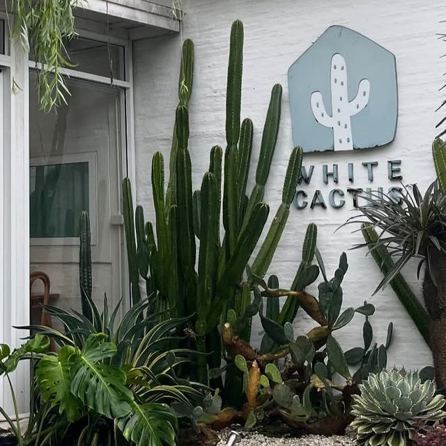ร้าน WHITE CACTUS นนทบุรี