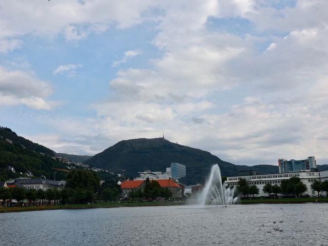 Historic Charm and Coastal Splendor in Bergen