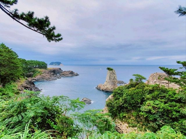 제주 서귀포 필수 코스, 산책하기 좋은 명승 제주 서귀포 외돌개! 제주 서귀포 필수 코스, 산책하기 좋은 명승 제주 서귀포 외돌개!