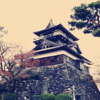 The Misty Phoenix: My Solo Visit to Maruoka Castle, Fukui