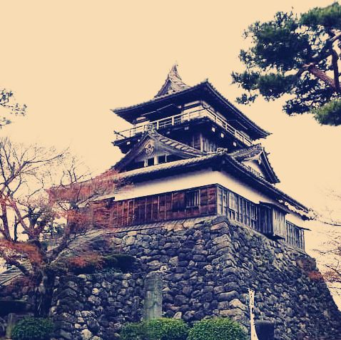 The Misty Phoenix: My Solo Visit to Maruoka Castle, Fukui