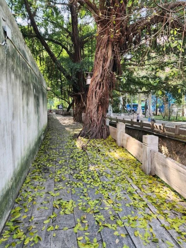 “Echoes of the Past — The Iconic Shangxiahang Canal of Fuzhou”