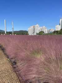Best autumn escapes near Seoul-Nari Park in Yangju