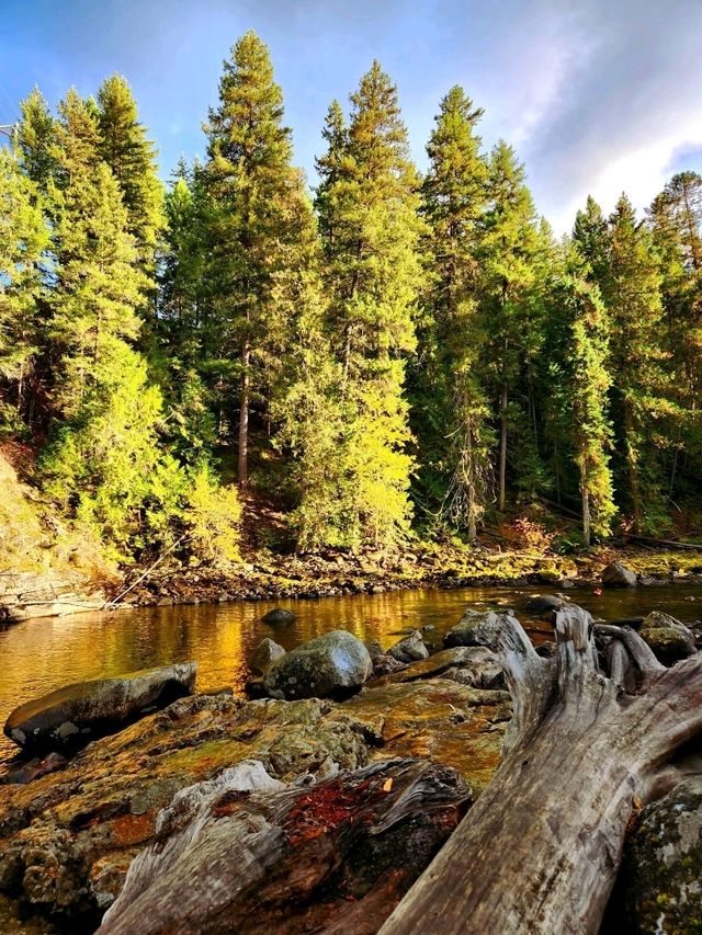 Naturally scenic Naturally scenic