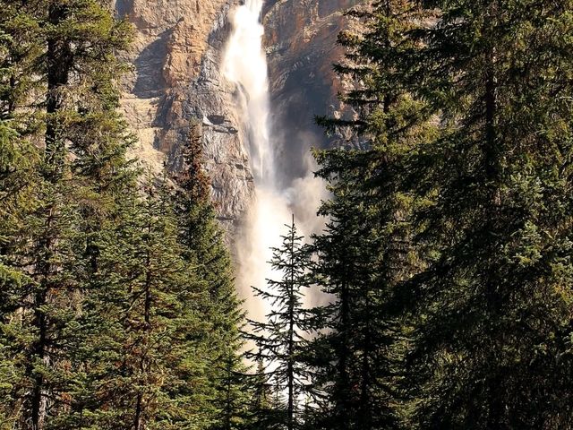 Kicking Horse River
