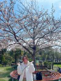 東京迪士尼打卡推介🌸  